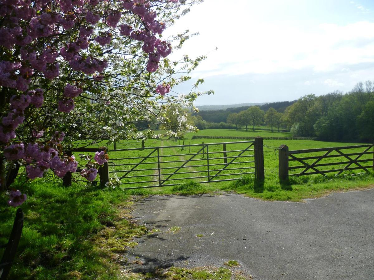 Moaps Farm B&B Support Small Business, Welcome, Check In From 5 Pm Danehill Exteriér fotografie