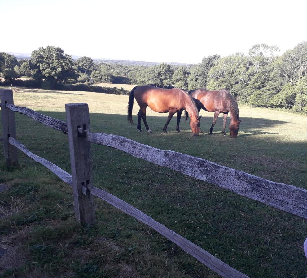 Moaps Farm B&B Support Small Business, Welcome, Check In From 5 Pm Danehill Exteriér fotografie