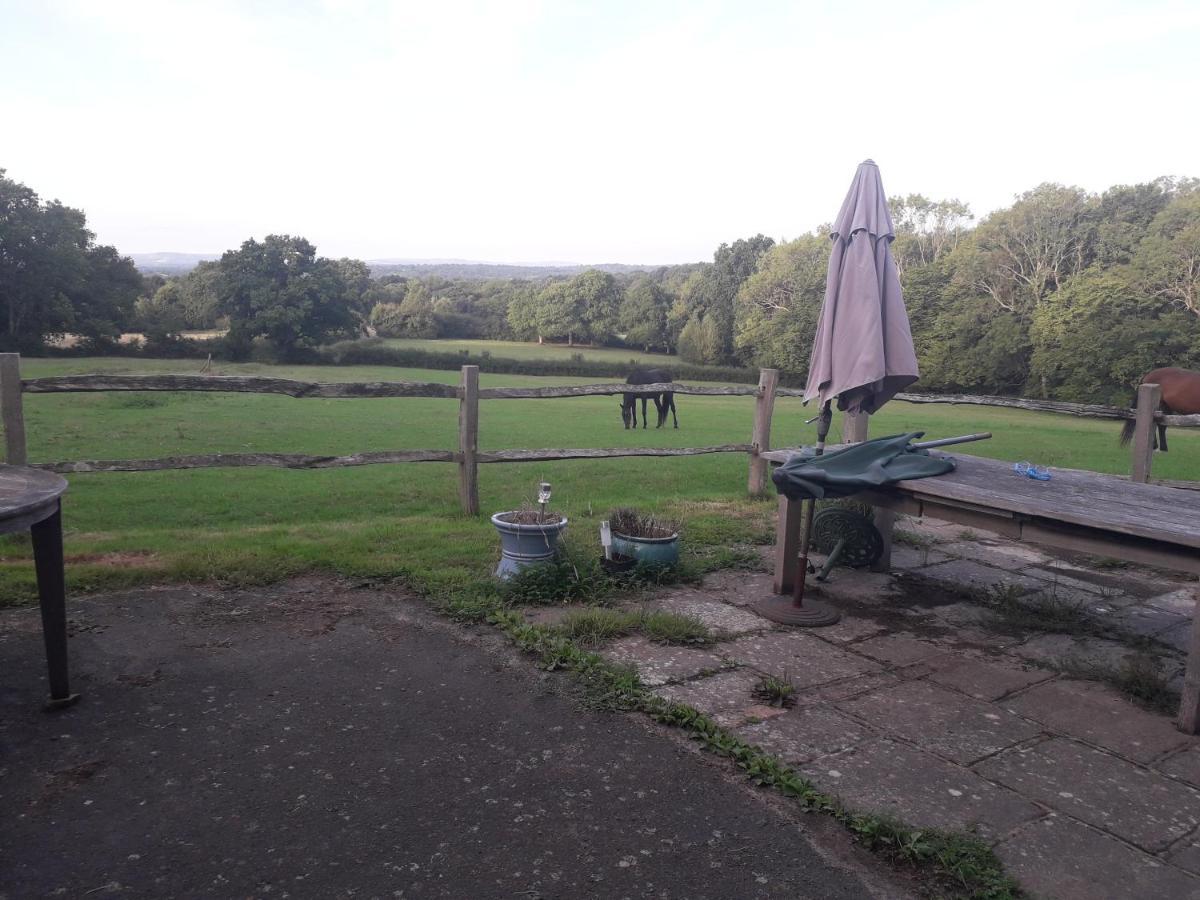 Moaps Farm B&B Support Small Business, Welcome, Check In From 5 Pm Danehill Exteriér fotografie