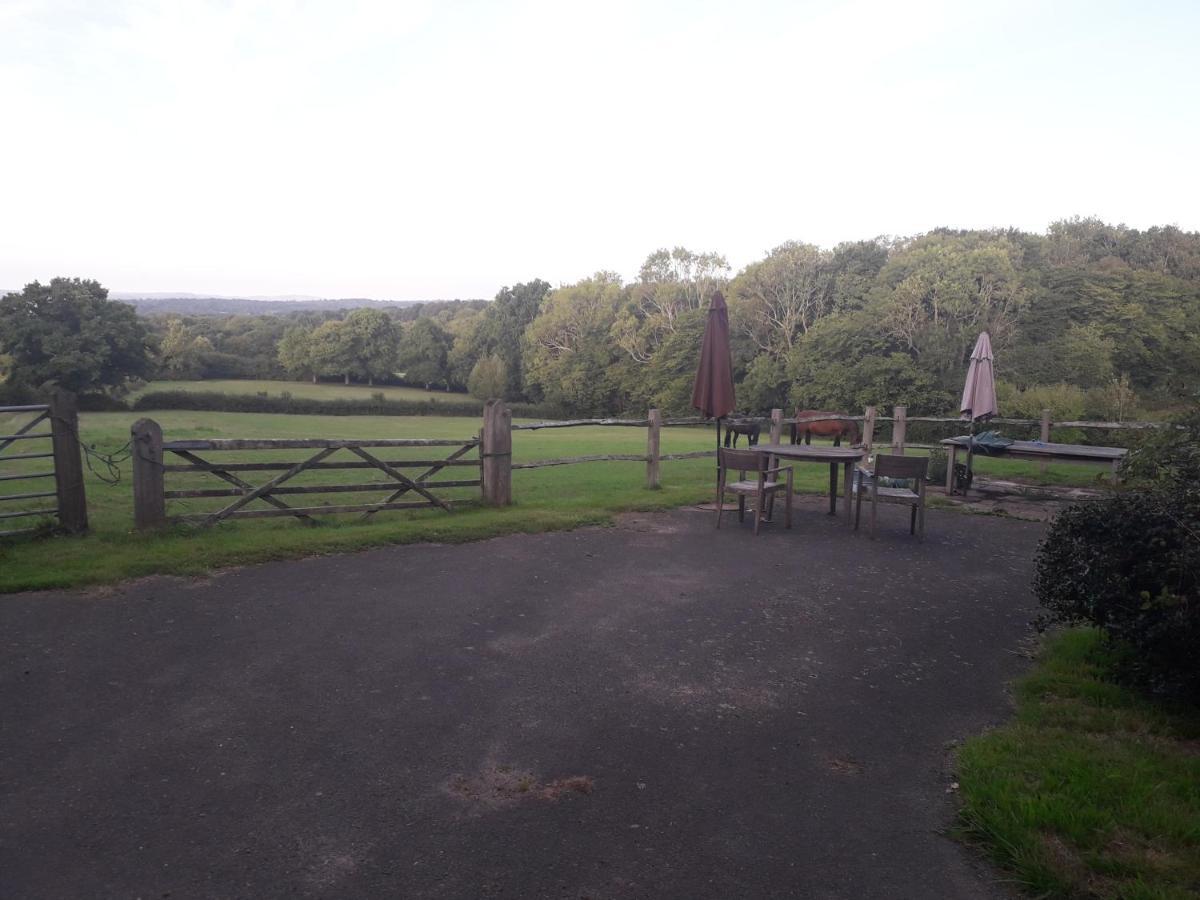 Moaps Farm B&B Support Small Business, Welcome, Check In From 5 Pm Danehill Exteriér fotografie