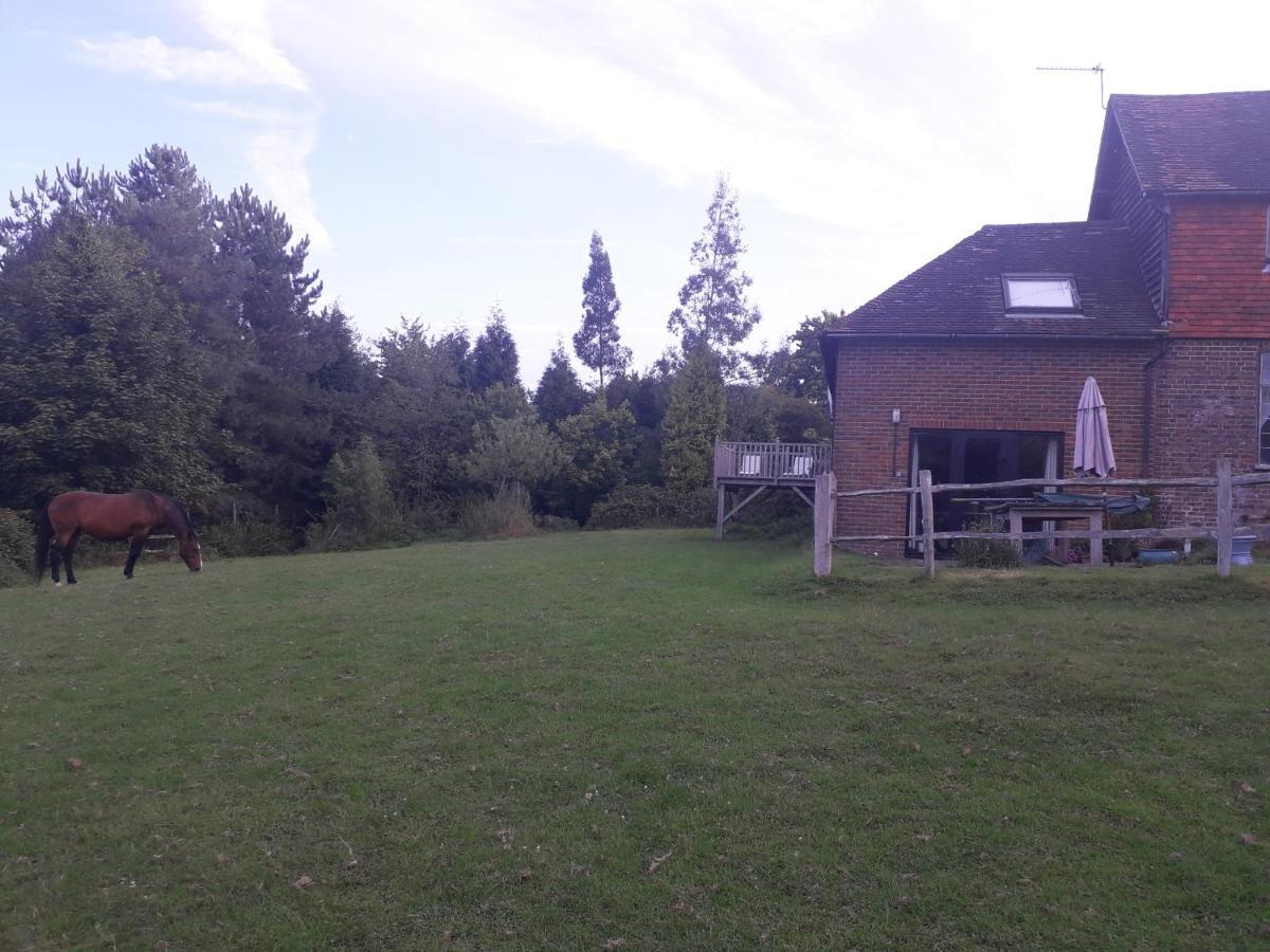 Moaps Farm B&B Support Small Business, Welcome, Check In From 5 Pm Danehill Exteriér fotografie