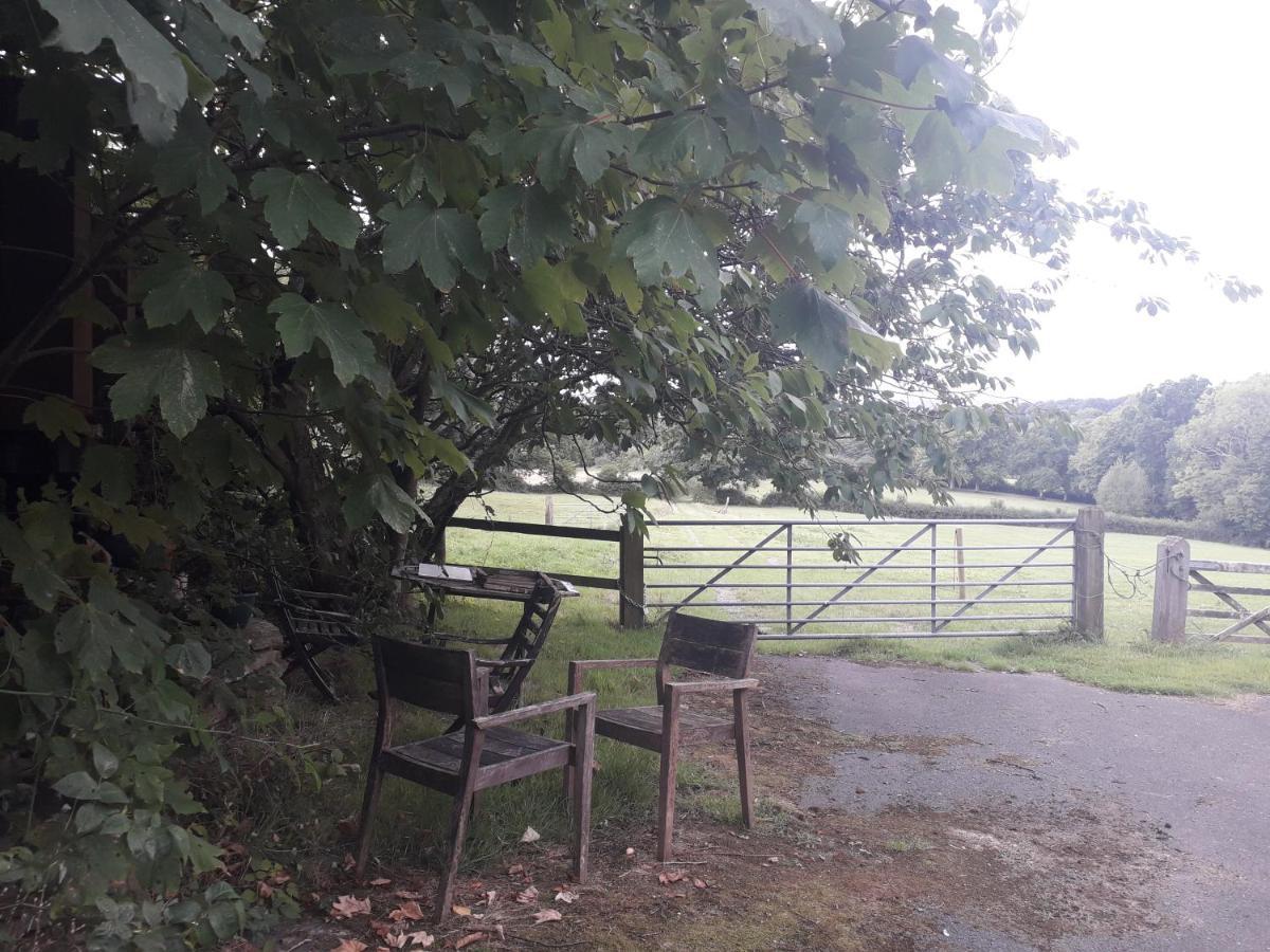 Moaps Farm B&B Support Small Business, Welcome, Check In From 5 Pm Danehill Exteriér fotografie