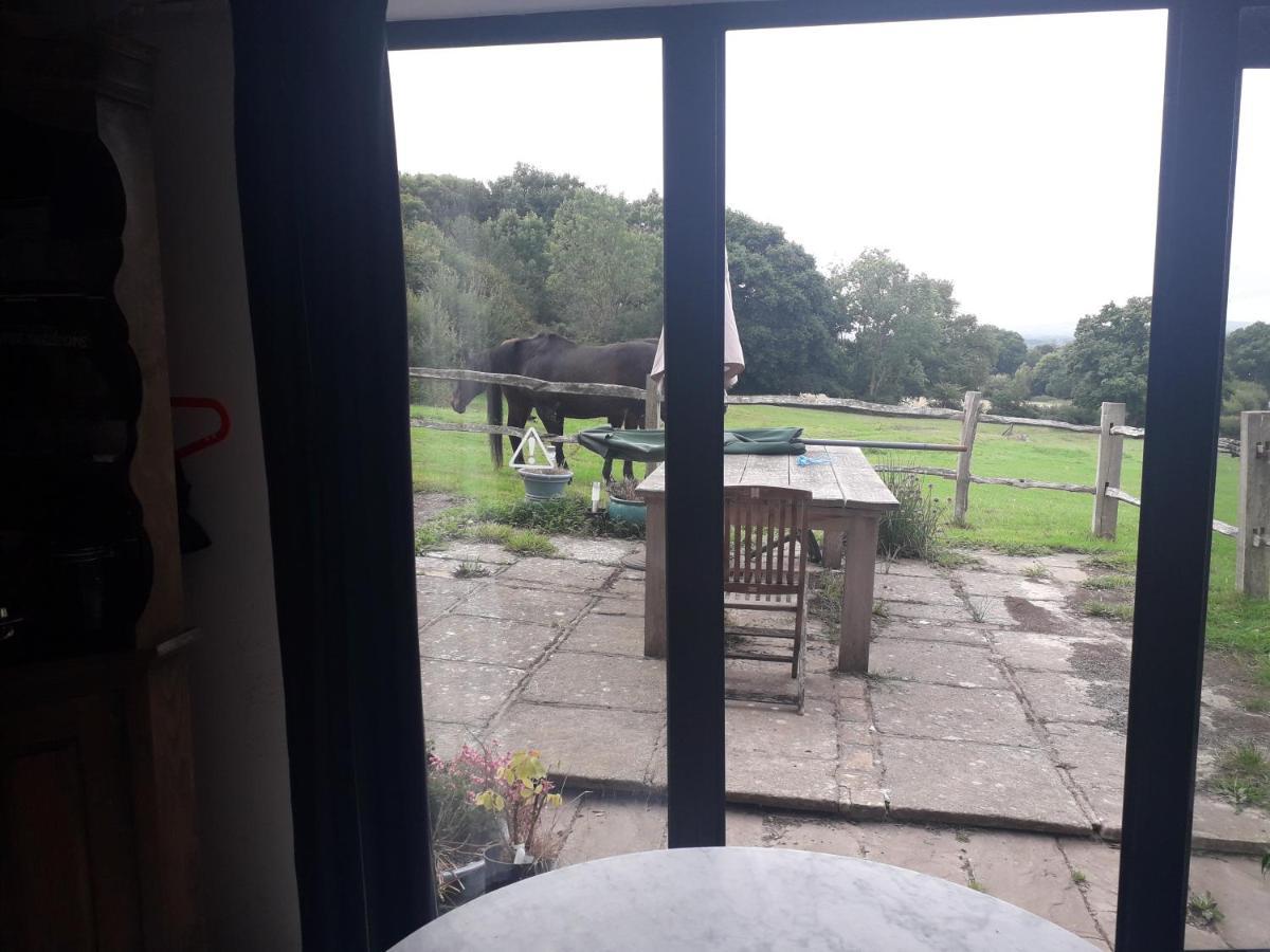 Moaps Farm B&B Support Small Business, Welcome, Check In From 5 Pm Danehill Exteriér fotografie