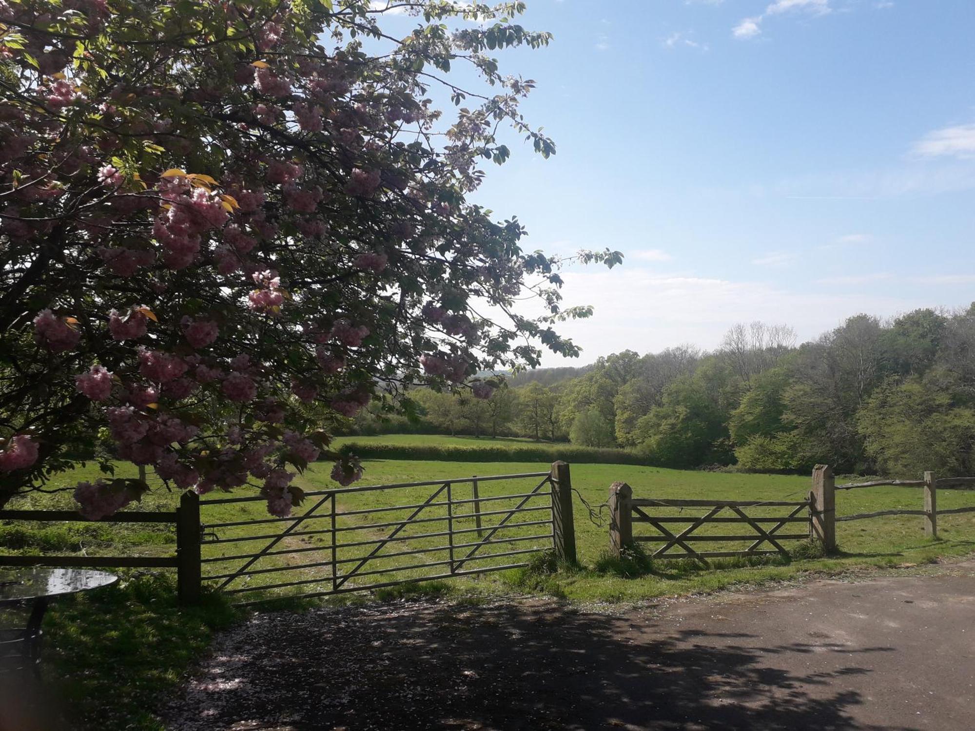 Moaps Farm B&B Support Small Business, Welcome, Check In From 5 Pm Danehill Exteriér fotografie